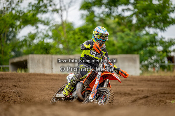 Startbewijs Junioren & Senioren