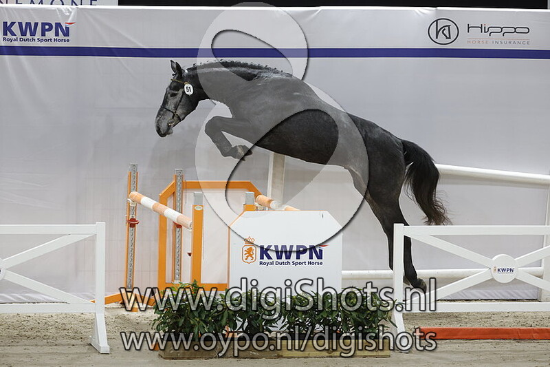 O Cohinoor Ryal K v. Cohinoor VDL