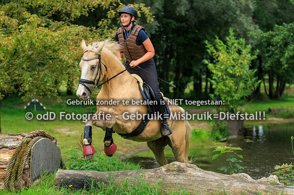 Trainingen Margo van Nijnatten Groep 4 11.30 19-08-23