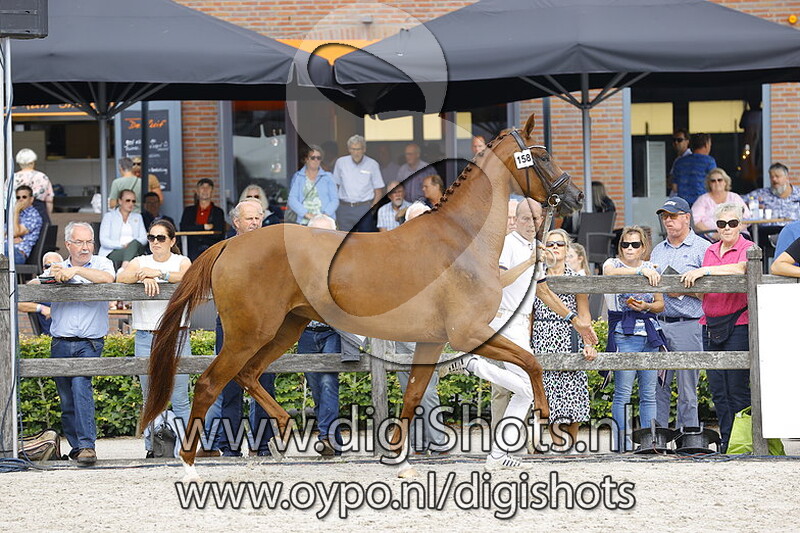 158 Nennevanck PP v. Jakarta