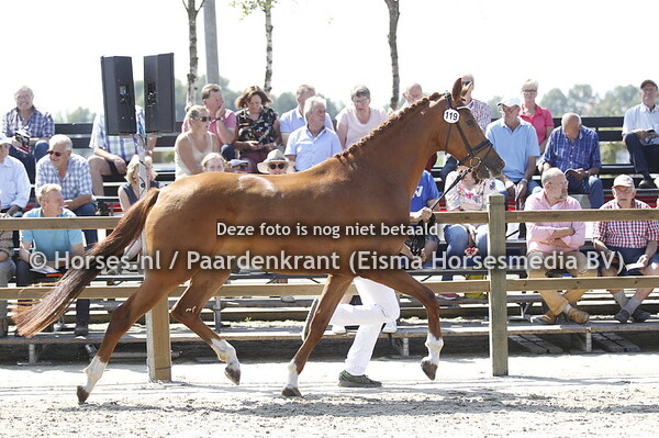 119 Kelly v Desperado