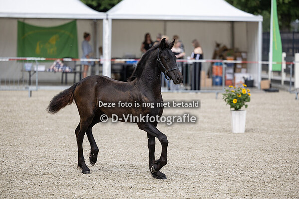 41. Famke van de Vossenbelt