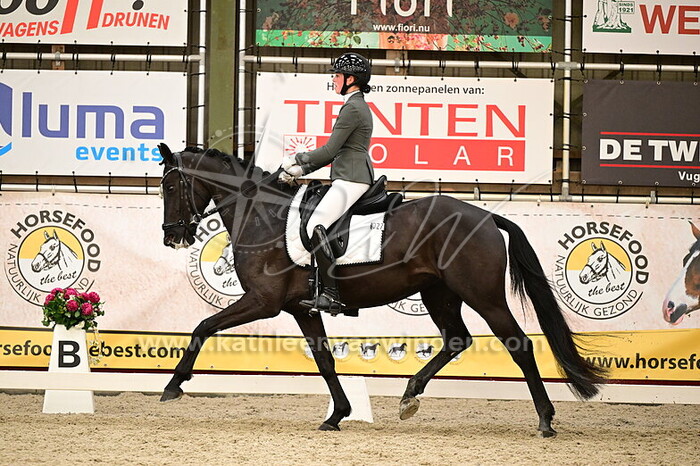 Geertje Hoogendoorn - Reina G