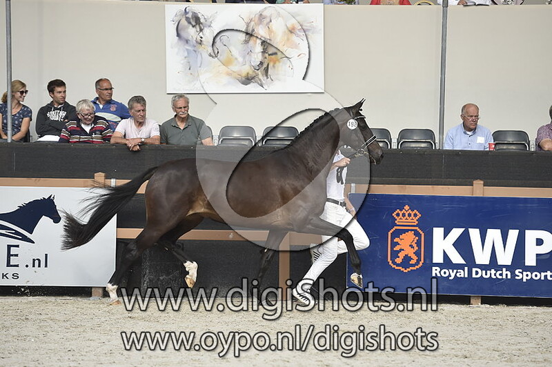 Koco Linda v. Glamourdale