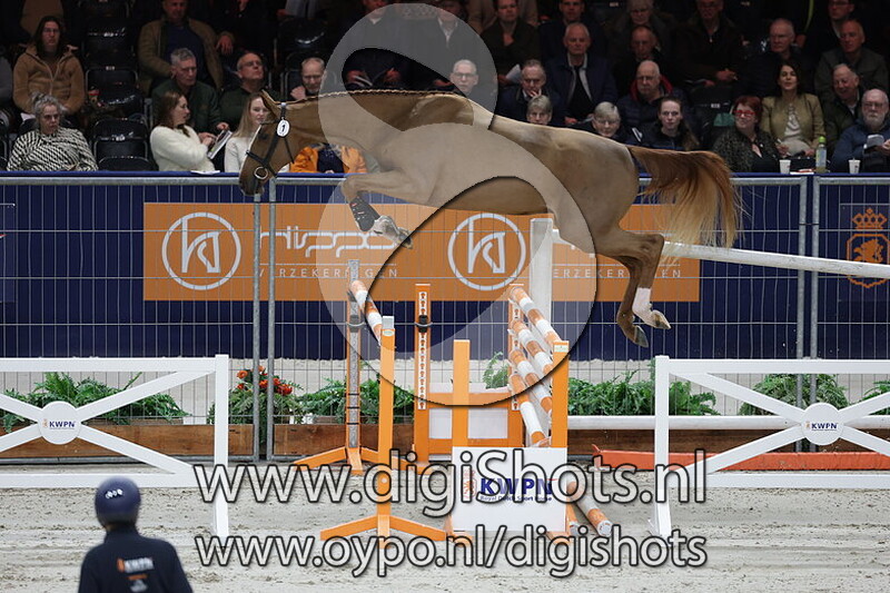 Adanzo Keizersberg Z