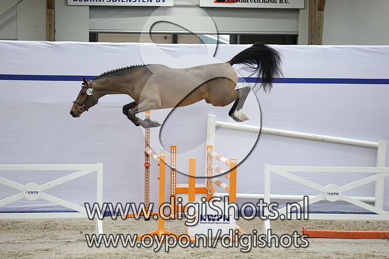 Pleasure van de Moervelden Z