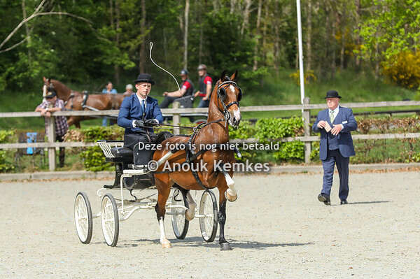Regionaal Noord - Lage Limiet 