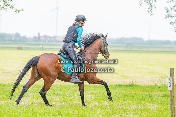 Ruiter Paard Marathon Mennen Bucephalus 09-05-2024