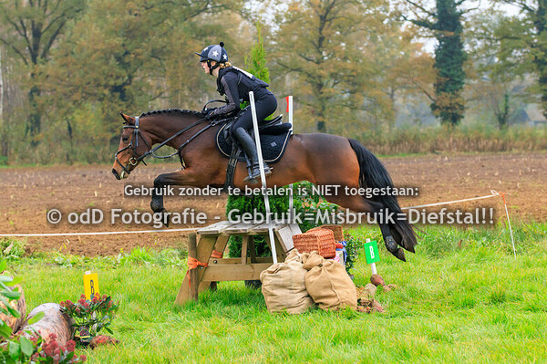 Eventing Rekken Paard B Pony L 09-11-24