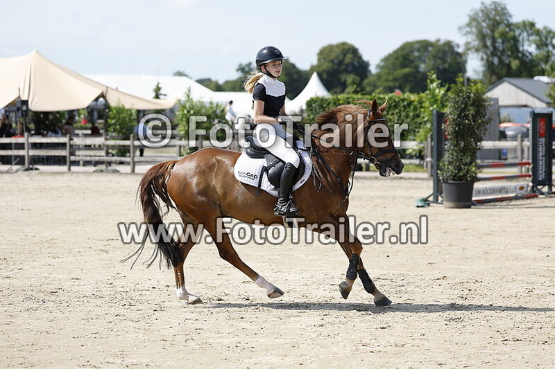 amarens van der vlis