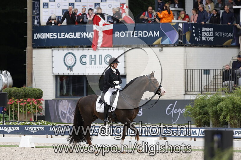 Blue Hors Don Olymbrio