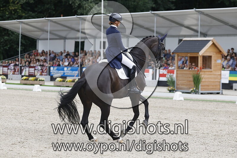 Torveslettens Titanium RS2