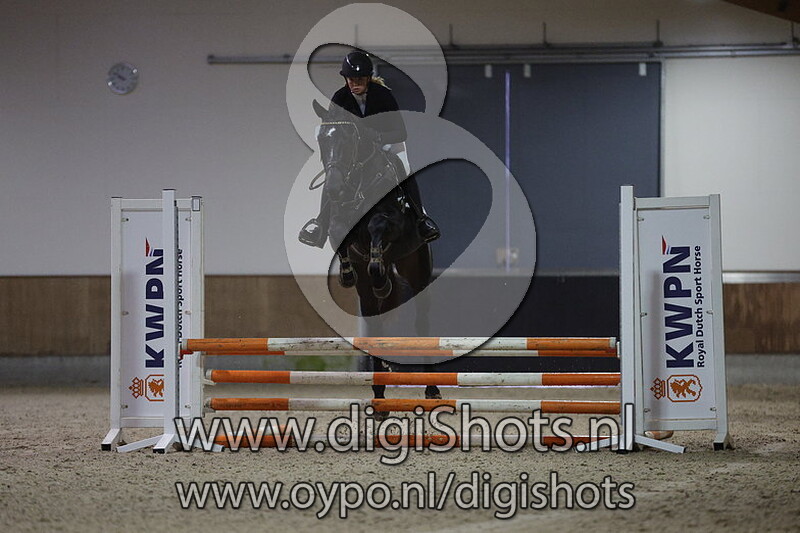 Elfranbanix Van Beek Z v. Elfra Van Beek Z - 160