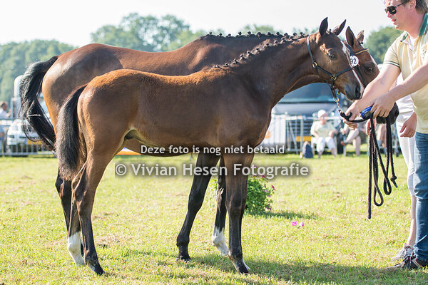 Regionale Keuring Oostermoer