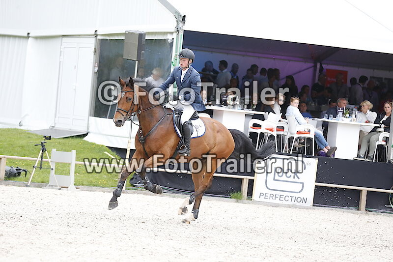 Dennis van den Brink