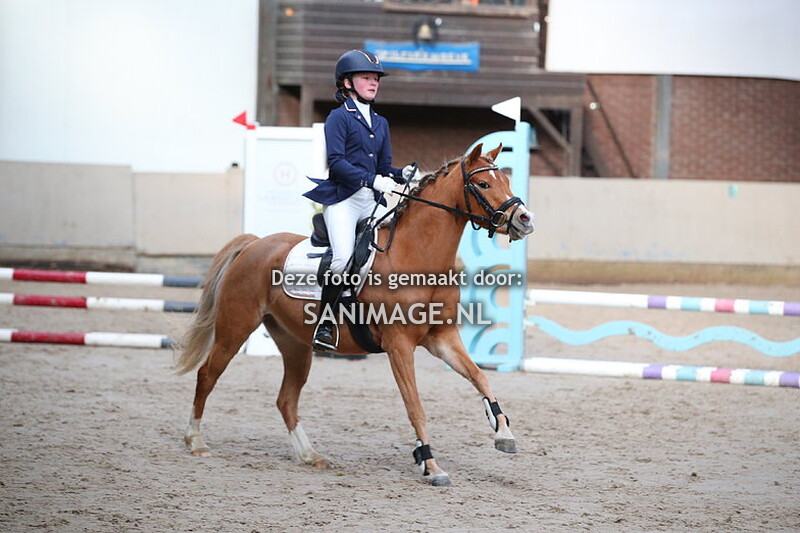 Zilfia's Hoeve Springen pony's 10-12-2023 40/50/60 cm