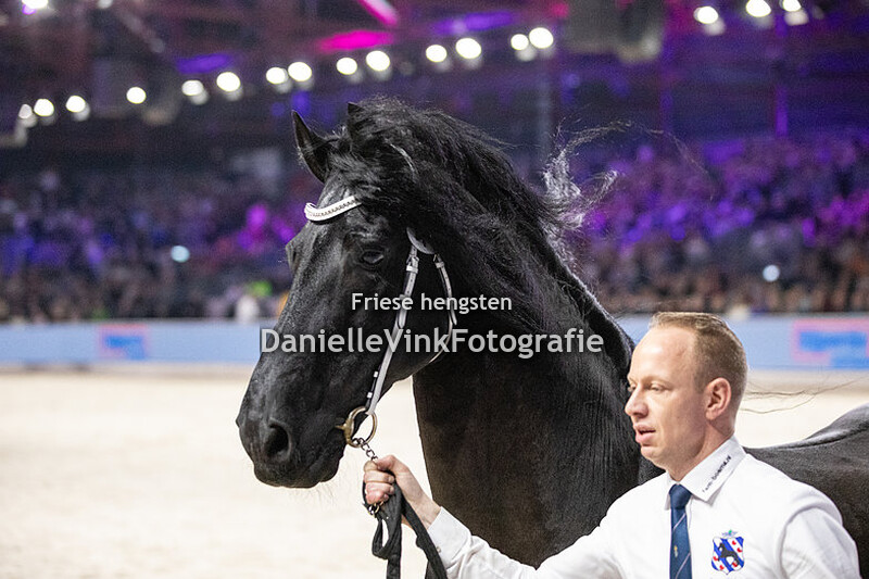 Hengstenkeuring 2024 Take 455