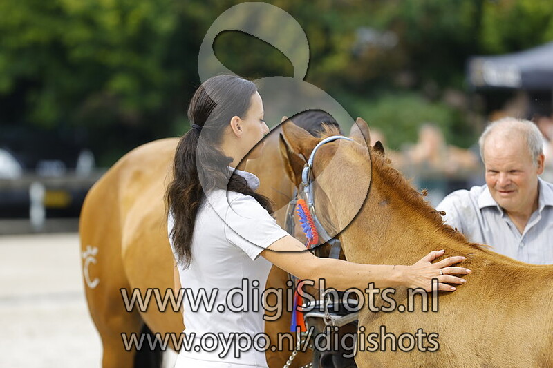 Toro Rosso KB v. Le Formidable