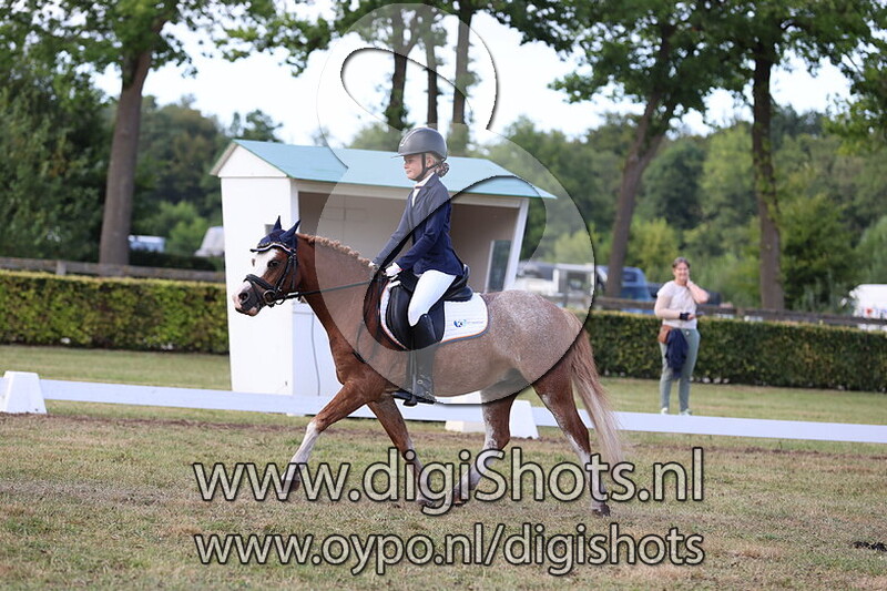 Ring 12 Afdelingsdressuur Klasse L A-B Ponys