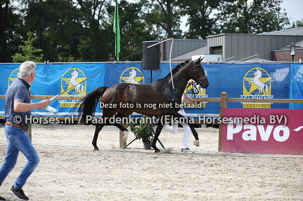 102 Lady Ebony (Ebony x Porite v. Don Primaire) (1)