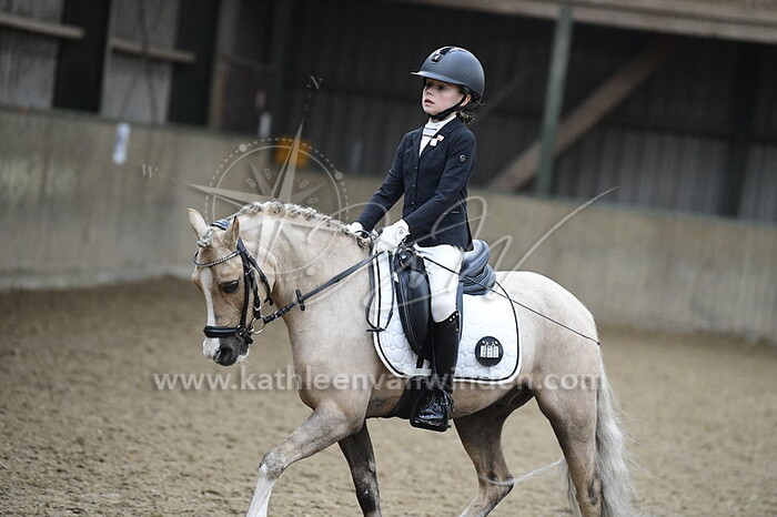 Harley Dikkerboom - Sunnyboy