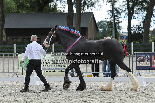 16. Merries 4 jaar e.o.