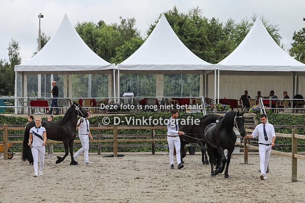 Rubriek 6A Premiekeuring 3 jarigen