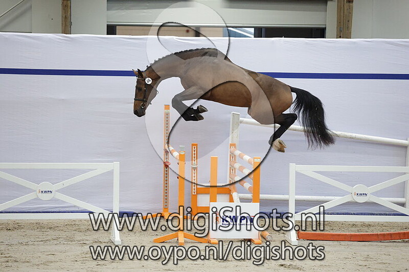 Thorin vd Watermolen