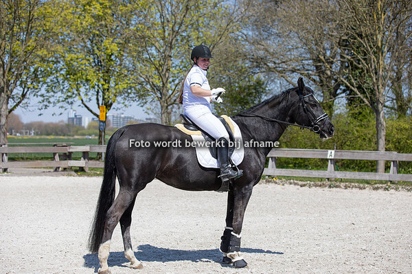 Caroline Conradi - Why not