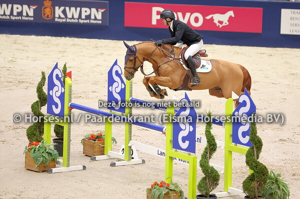 30-01-2025 KWPN HK hengstencomp en VHO springen