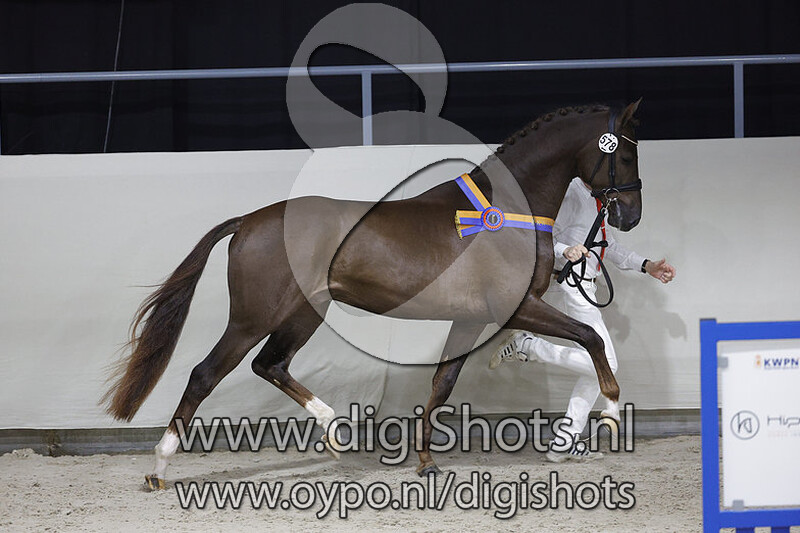 One Two Three v. Vivaldi