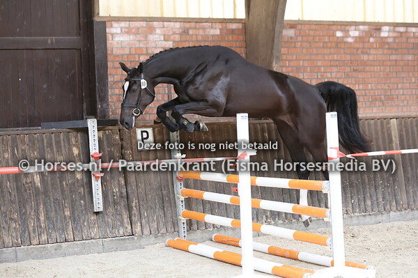 10 Sherita (Orak D Hamwyck x Fantartica v. Indoctro)