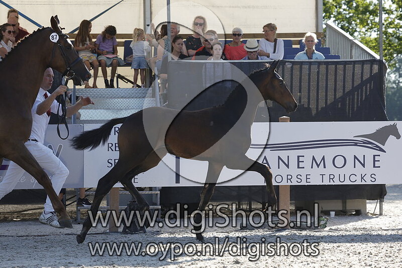 Tumiro v. Furst Dior