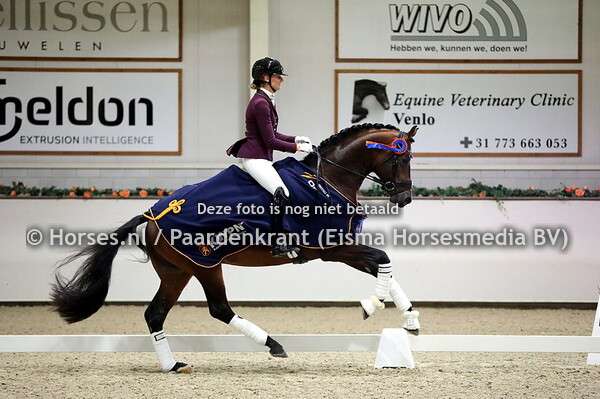 21-11-22 Hengstencompetitie dressuur klasse M en Z