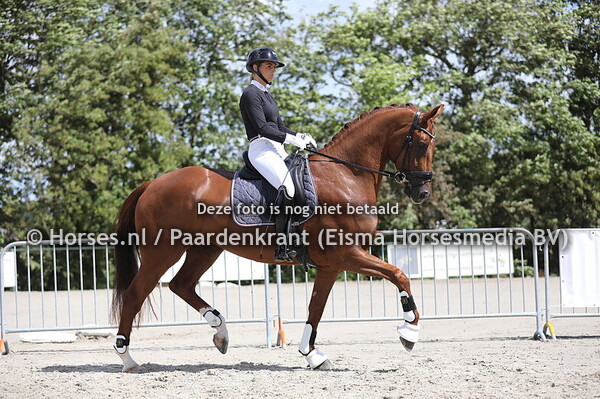 06-07-2024 CK Zeeland KWPN