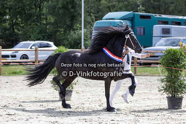 40. Mila van de Demro Stables
