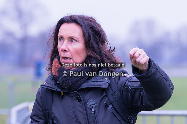 Korte serie  tot 12:00