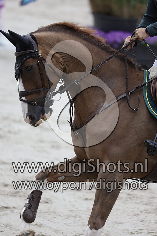 Chevaux Hex Lup Imperio Egipcio