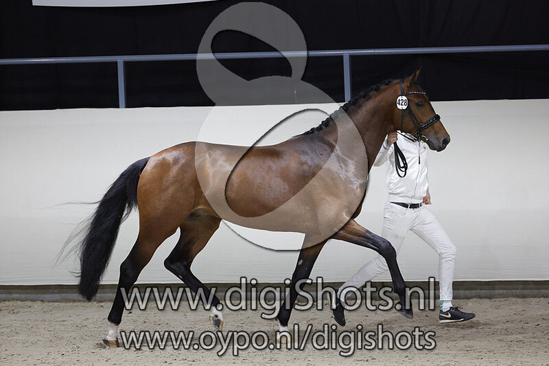 O'Toto van de Wimphof v. Glock's Toto Jr