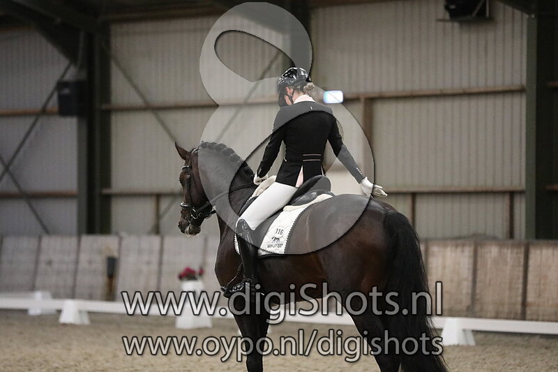 My Blue Hors Santiano