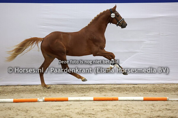 432 (Le Formidable x Apache)