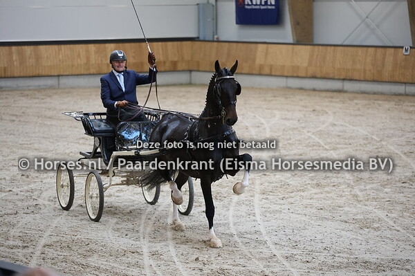 25-10-2025 IBOP Tuigpaarden Ermelo