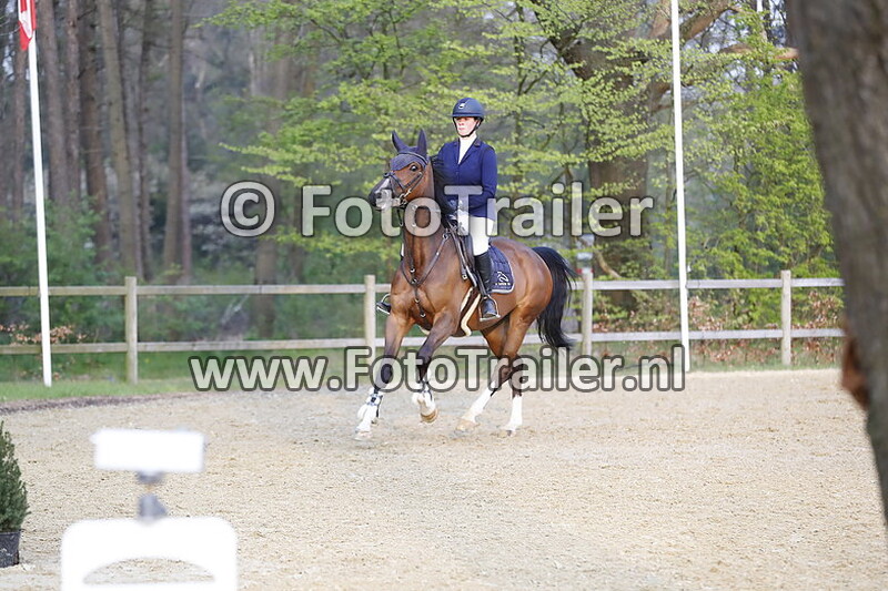 rowan van leijenhorst