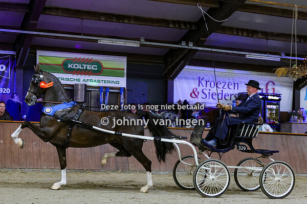 Noordelijke tuigpaardendag 2024