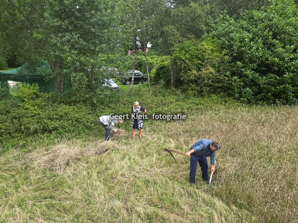 Rogge maaien Staphorst