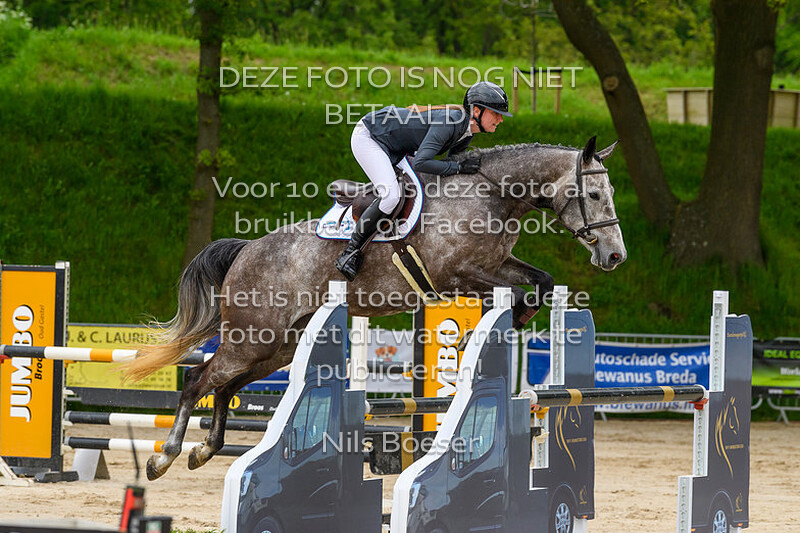 7 Jonge Paarden Springen 5 jarige 105cm