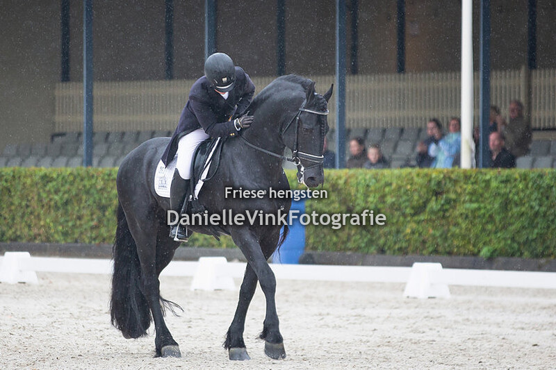 NK Friese paarden 2018 Epke 474