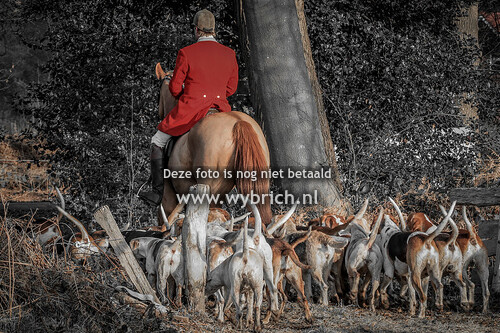 33 Lattrop 16-2-2025