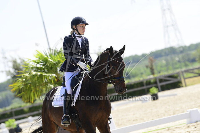 Jenthe Vandenbergh - Nobody But Elvis