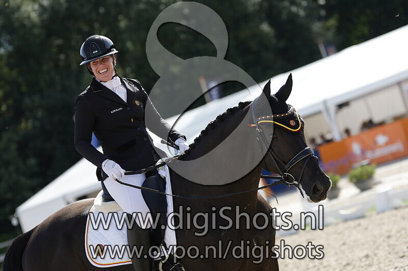 Picador van het Leiedal